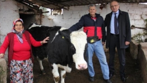 Düvesini satıp, parasını Mehmetçik için kampanyaya bağışladı