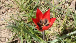 Koparırsanız cezası 48 bin 625 lira 