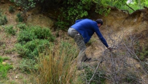 Mantar toplarken dikkat