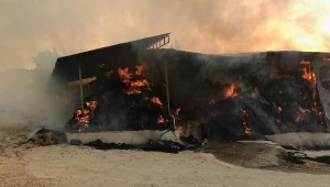 Alevler 15 bin balya samanı kül etti