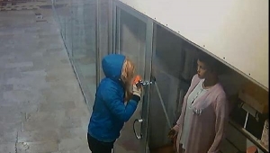 Peruklu hırsızlık şüphelisi Turgutlu ilçesinde yakalandı.