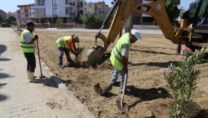 Daha Yeşil Bir Turgutlu İçin Çalışıyoruz