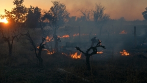 Mezarlık yakınında korkutan yangın