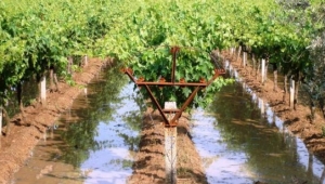 Sağanak derelerde taşkına neden oldu