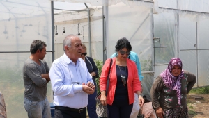 Büyükşehir’in Sera Desteği Örnek Oldu