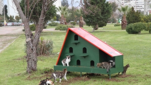 Can dostlar için ‘yaz’ seferberliği 