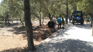 Çıkrıkçı Mahalle Mezarlığı Temizlendi