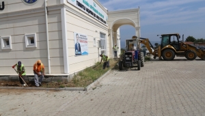 Düğün Salonlarının Çevreleri Ağaçlanıyor