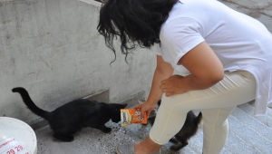 Ege’den can dostlara “can” suyu