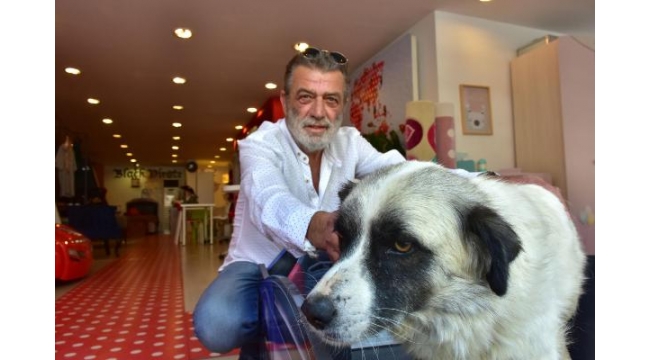 Hayvansever müşterilere özel indirim