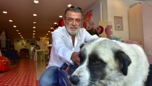 Hayvansever müşterilere özel indirim