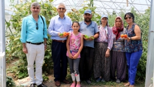 Hem Üretim Arttı Hem Üretici Kazandı