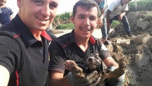 Kanalizasyon kanalına düşen yavru köpeği itfaiye kurtardı
