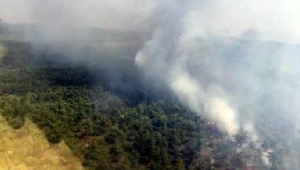 Manisa'da orman yangını 