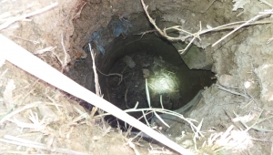 KANALİZASYON ÇUKURUNA DÜŞEN KÖPEĞİ İTFAİYE KURTARDI