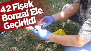 Polis ,42 fişek satışa hazır  uyuşturucu madde olan bonzai ele geçirdi