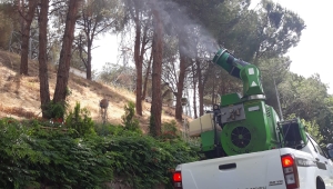 Salihli’de Haşere Mücadelesi Sürüyor   