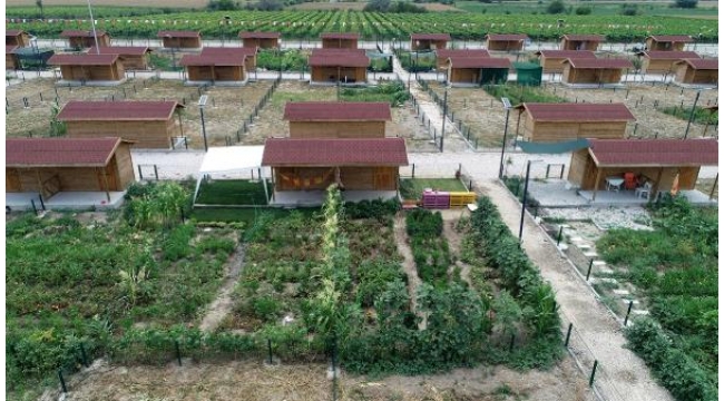 Şehrin stresinden kaçıp, hobi bahçelerinde rahatlıyorlar