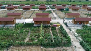 Şehrin stresinden kaçıp, hobi bahçelerinde rahatlıyorlar