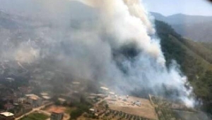 Şehzadeler'de orman yangını 