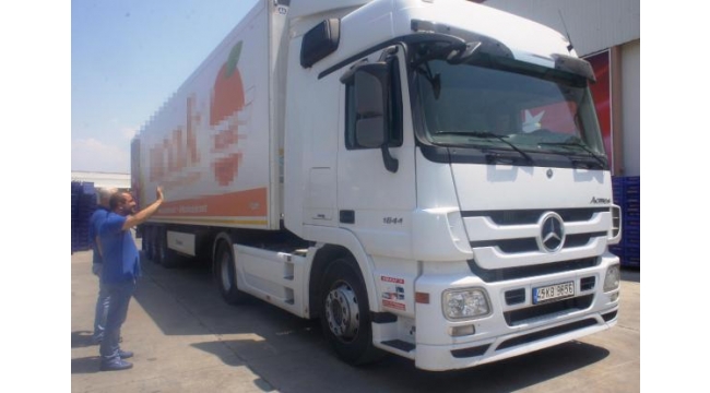 Superior seedless' üzüm ihcaatında ilk gün 54 TIR çıkış yaptı