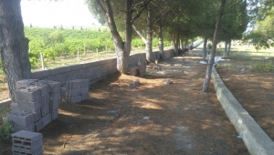 Turgutlu Çampınar Mezarlığına Bakım           