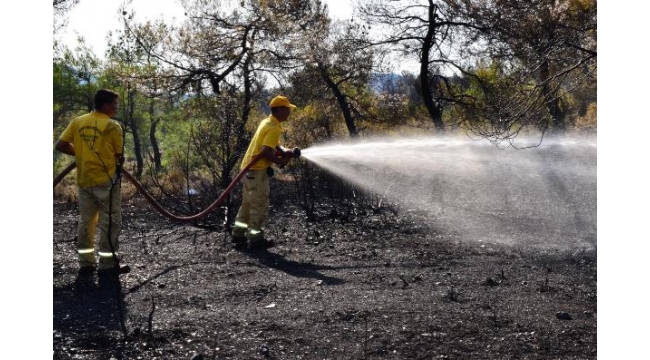 YANGIN KOTROL ALTINA ALINDI