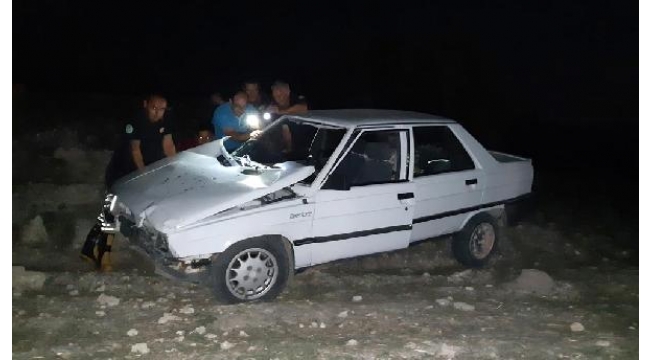 Ağaca çarpan otomobilin sürücüsü öldü