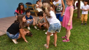 Bu ilçede sokak köpeklerini okullar sahipleniyor