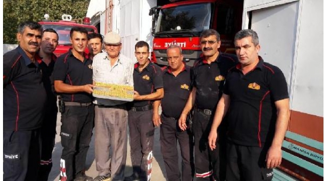 Kurbanlık koçunu kurtaran itfaiyeye baklavalı teşekkür