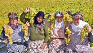 Kuru üzüm üreticisi kilosuna 9 TL fiyat istiyor