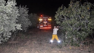 Turgutlu'da 6 noktada yangın; 1 hektar tarım alanı ve 2 hektar makilik kül oldu