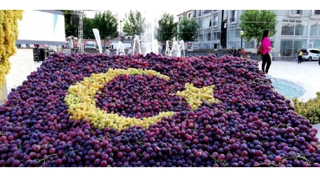 Üzüm salkımlarından Türk bayrağı ilgi gördü