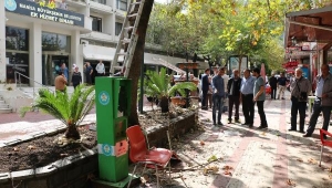 Budamak istediği ağaçtan düşen işçi ağır yaralandı