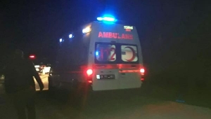 Eşini yol kenarında ölü buldu