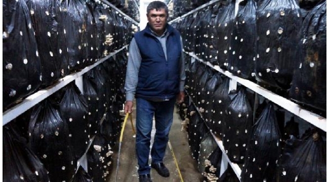 Mantardan istediği verimi aldı, işleri genişletti