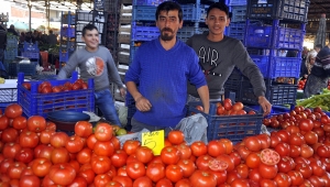 Pazarda domates 5 lira