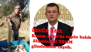 CHP’Lİ ÖZEL, GEDİZ’DEKİ TOPLU BALIK ÖLÜMLERİNİ SORDU