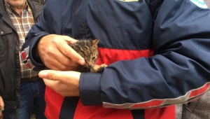 ‘Dikkat motorda kedi var ‘ 