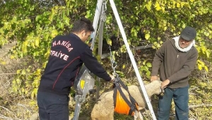 Koyunu 8 metrelik kuyudan itfaiye ekibi kurtardı