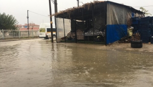 Turgutlu'da sağanak yağmurdan olumsuz etkilendi