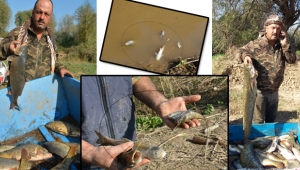   Turgutlu Gediz'de balık ölümleri endişe  yarattı VİDEO