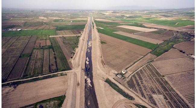 50.000 dekar “bağı” kurtaracak