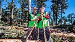 Ormanda erkeklerle birlikte odun kesiyorlar