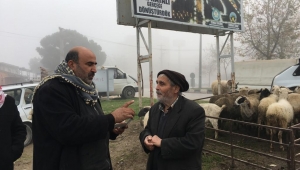 Turgutlu'da hayvan pazarı