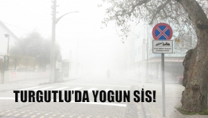 Turgutlu'da sis etkili oldu