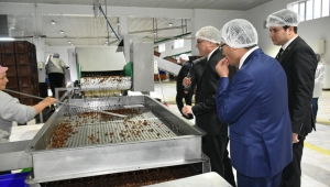 VALİ DENİZ ALAŞEHİR TARİŞ ENTEGRE ÜZÜM İŞLETMESİNİ İNCELEDİ