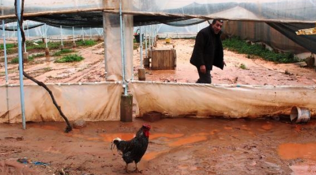 Çiftçiliği su bastı, tavuklar telef oldu