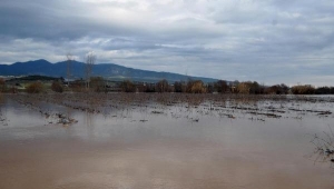 Gediz Nehri'ndeki taşkında tarım arazileri göle döndü