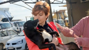 Hayvanları Koruma Derneğinden Kaymakam Turan'a teşekkür